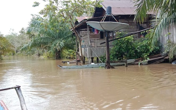BANJIR yang menggenangi delapan kecamatan di Kabupaten Kotawaringin Timur, Provinsi Kalimantan Tengah, sejak Rabu (10/11). Hingga Minggu malam (14/11) pukul 21.30 WIB, banjir belum surut.